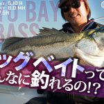 12月30日19:00「東京湾ビッグベイトシーバス！トップの釣りはこんなに釣れる！？」公開しました。