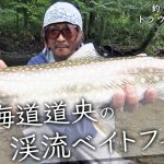 【新作公開】トラウトトップゲーム！北海道道央の渓流ベイトフィネス／釣りビジョン「トラウトギャラリー」