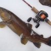 これから冬になり低水温期のブラウントラウトの釣り方をご紹介します