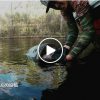 今年のモンスターマーレーコッドに至るまでの釣行記動画をまとめました！