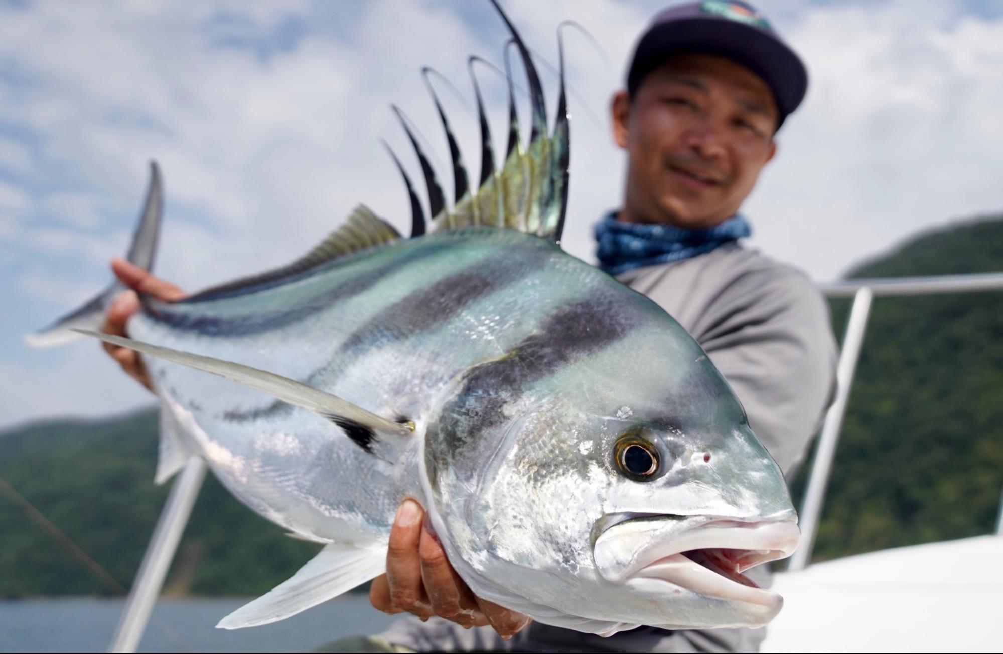 （後編）中南米人気釣り物、ルースターフィッシュ、クベラスナッパー、ターポン、スヌーク、in コロンビア