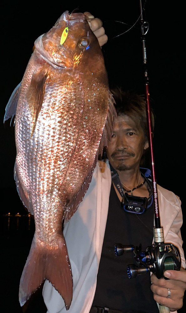 fishman Beams LOWER8.6L