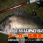 BRIST MARINO8.0M メーカー在庫完売