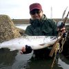 サクラマス釣りの「聖地」として知られる福井県の九頭竜川でユーザーが念願のサクラマスをキャッチ！